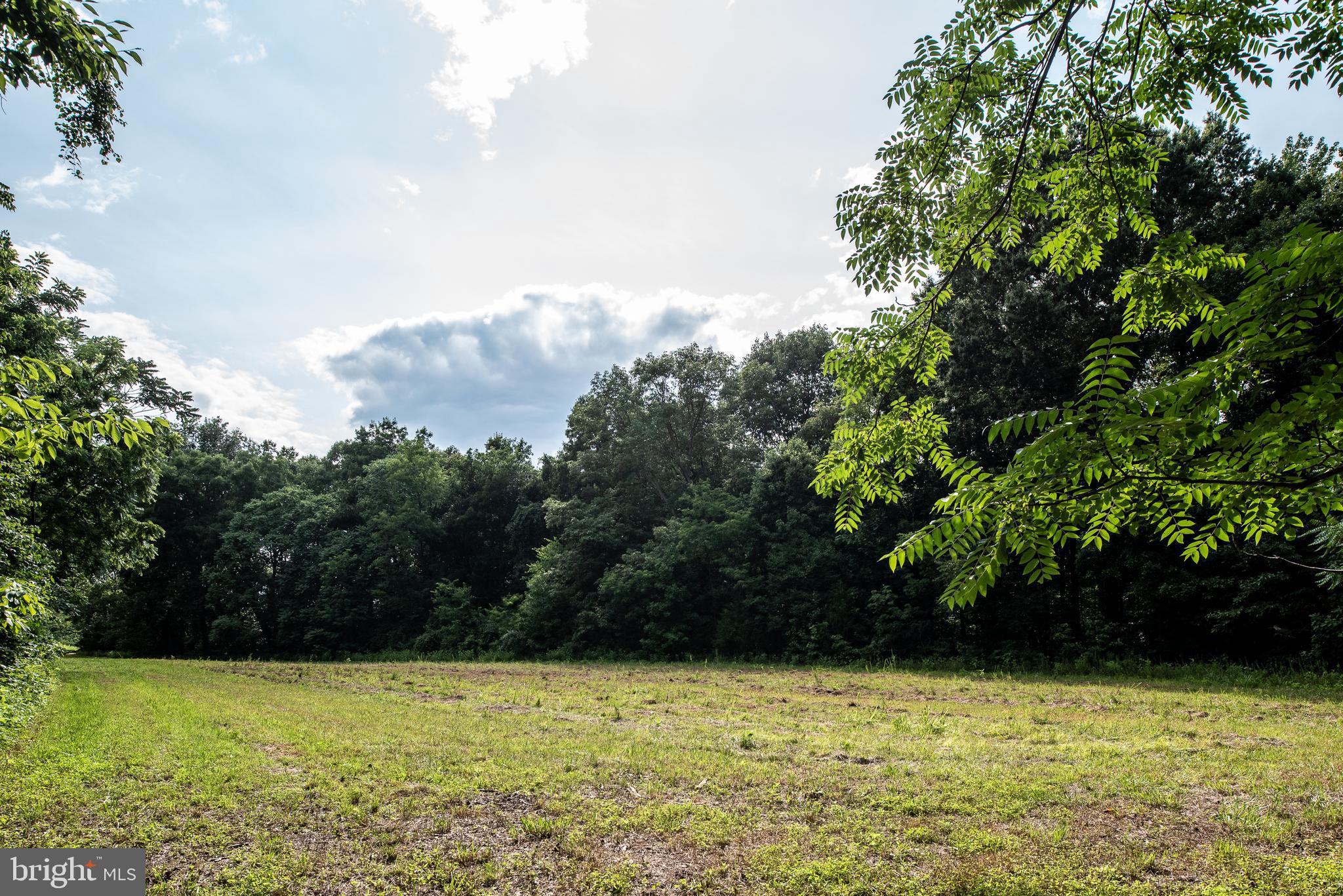 Hicks Landing Road Rappahannock Academy, VA 22538 - Photo 31 of 64