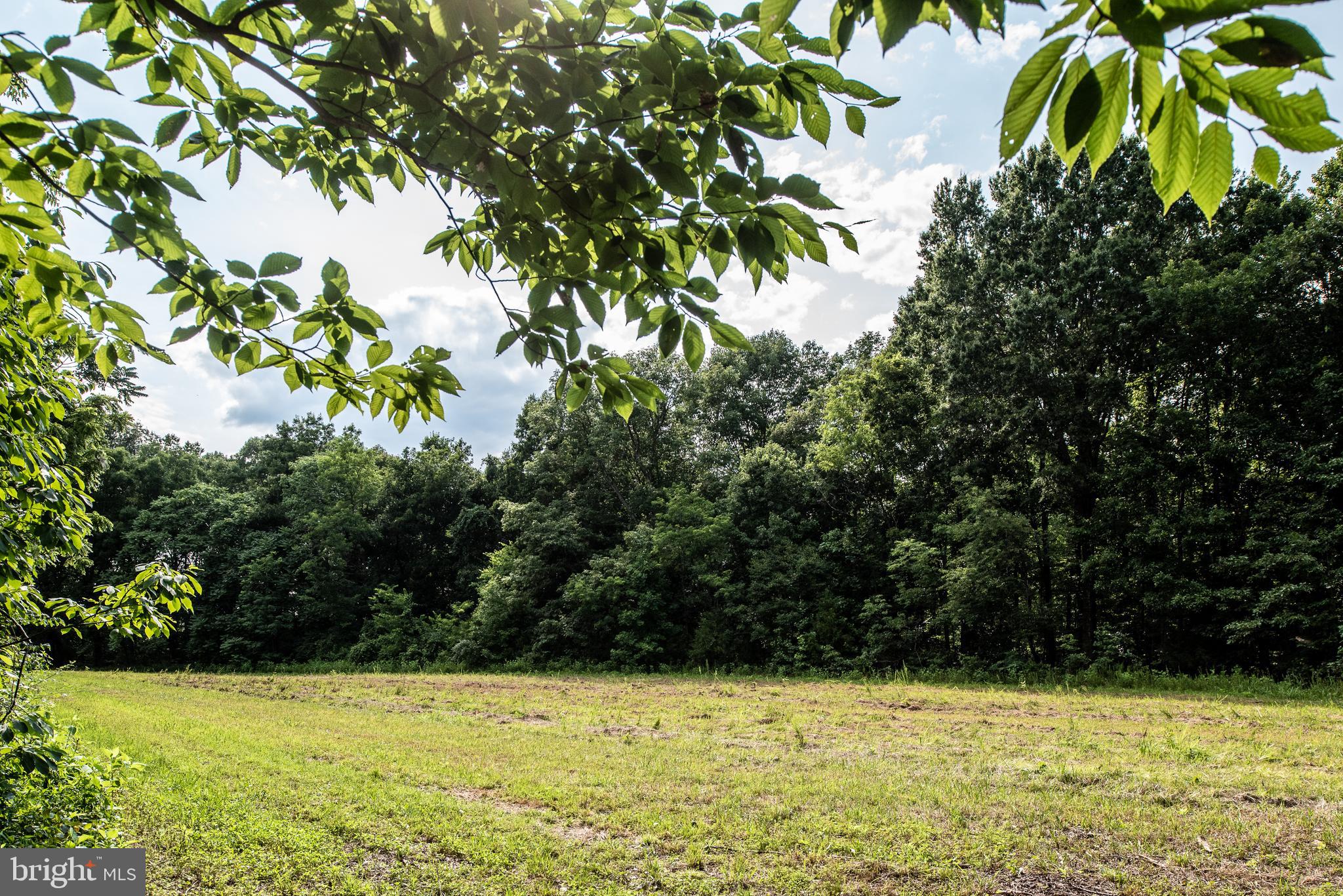 Hicks Landing Road Rappahannock Academy, VA 22538 - Photo 32 of 64