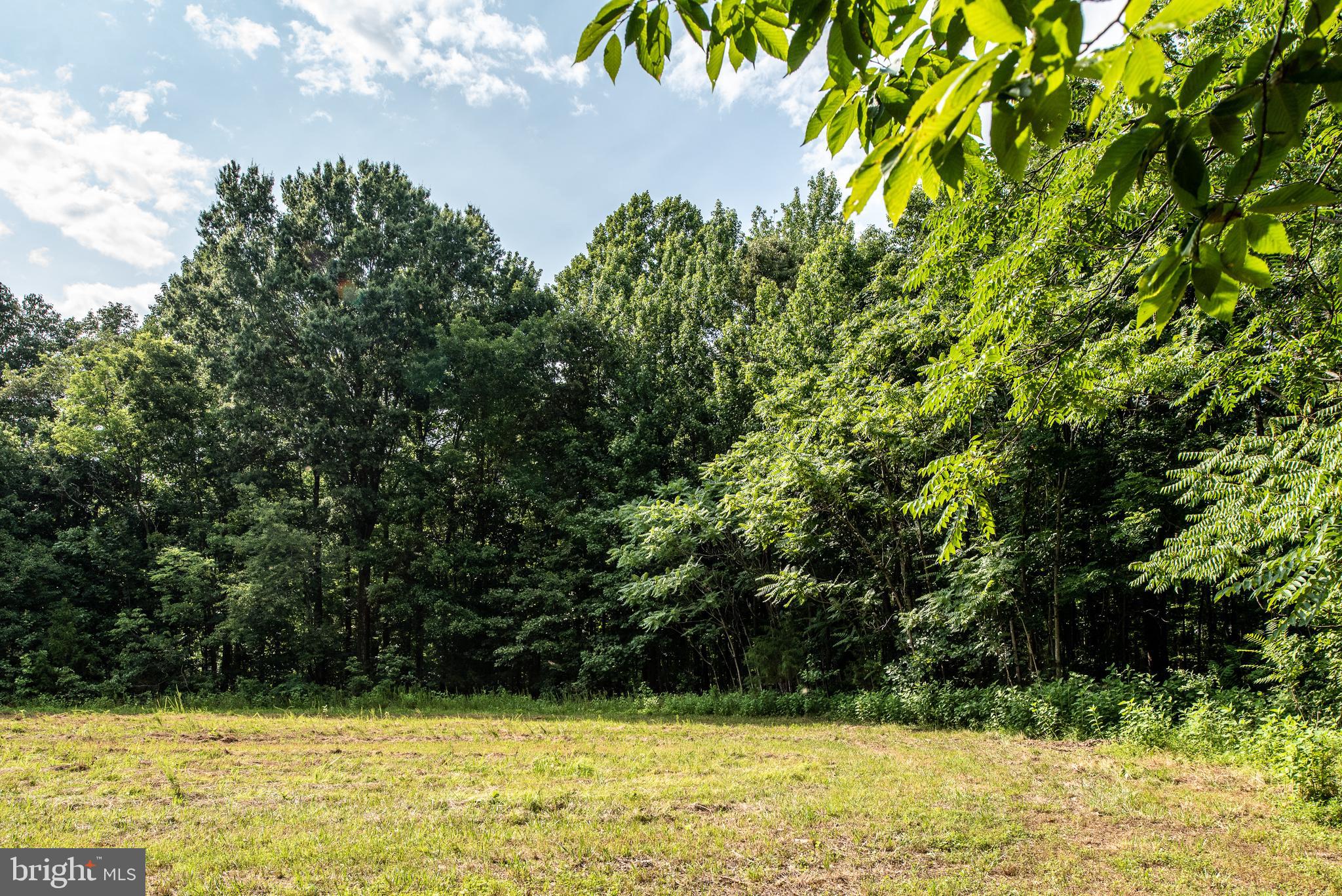 Hicks Landing Road Rappahannock Academy, VA 22538 - Photo 33 of 64
