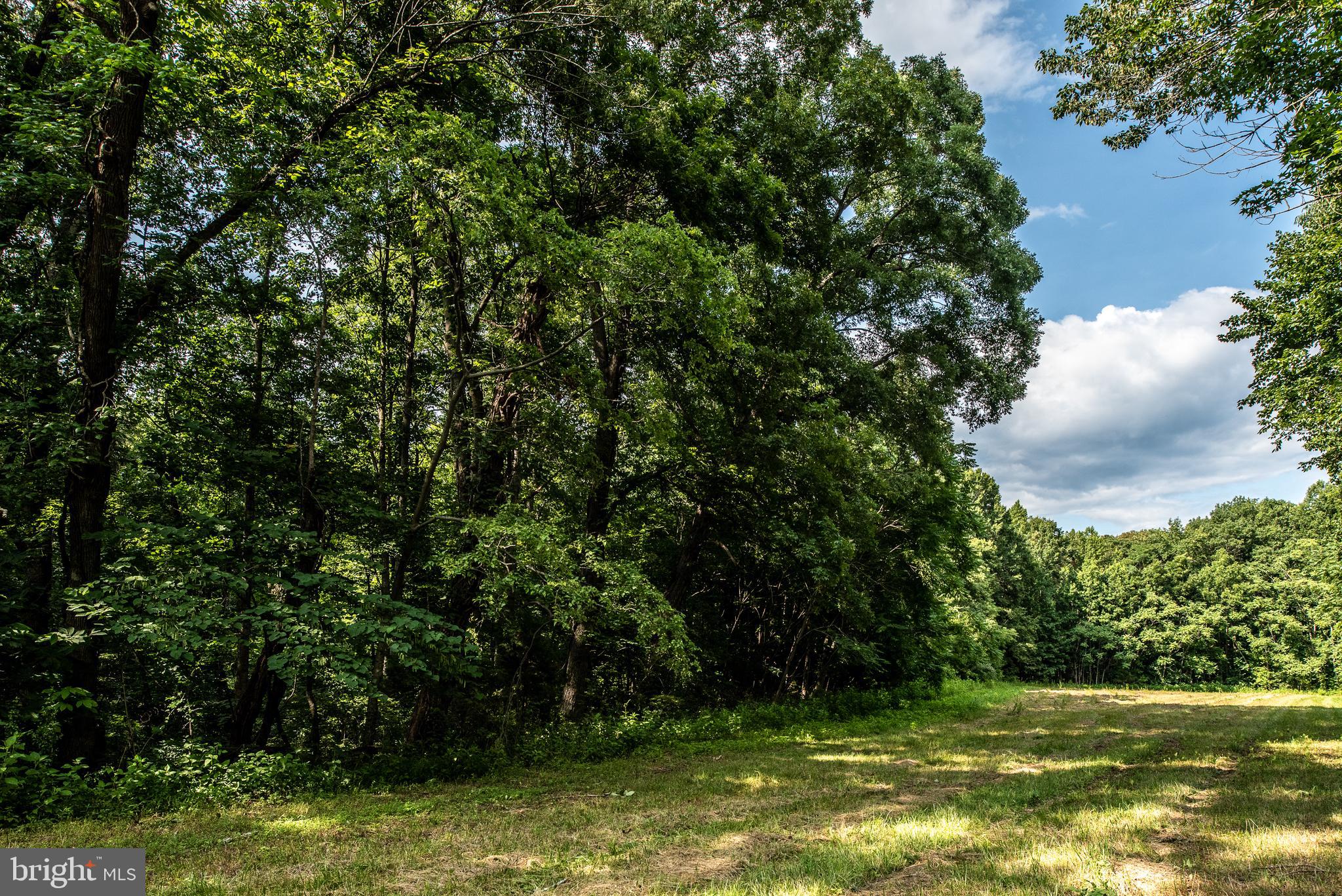 Hicks Landing Road Rappahannock Academy, VA 22538 - Photo 34 of 64