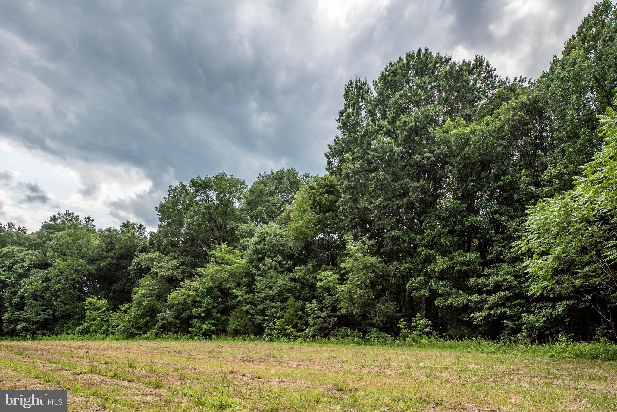 Hicks Landing Road Rappahannock Academy, VA 22538 - Photo 40 of 64