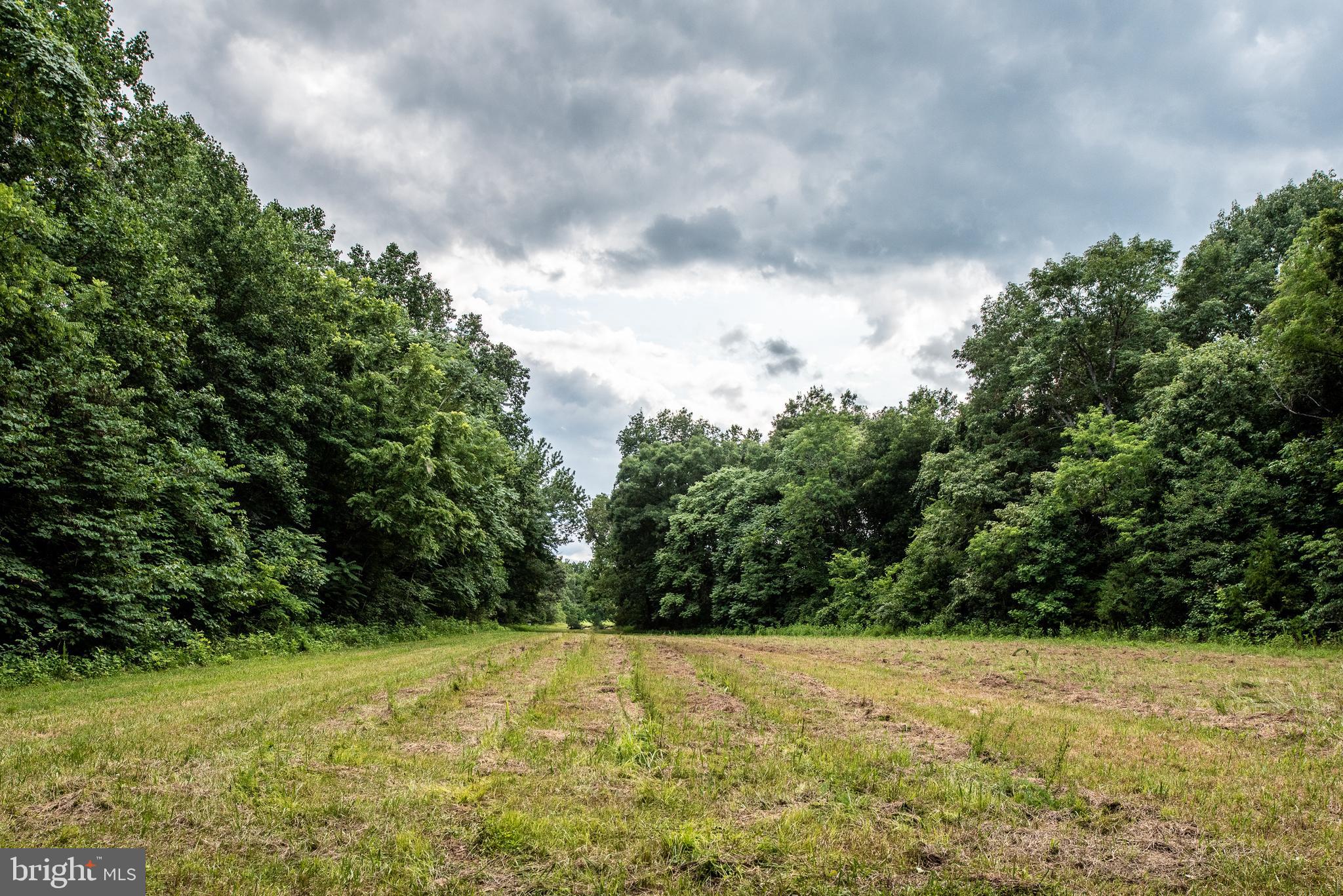 Hicks Landing Road Rappahannock Academy, VA 22538 - Photo 41 of 64