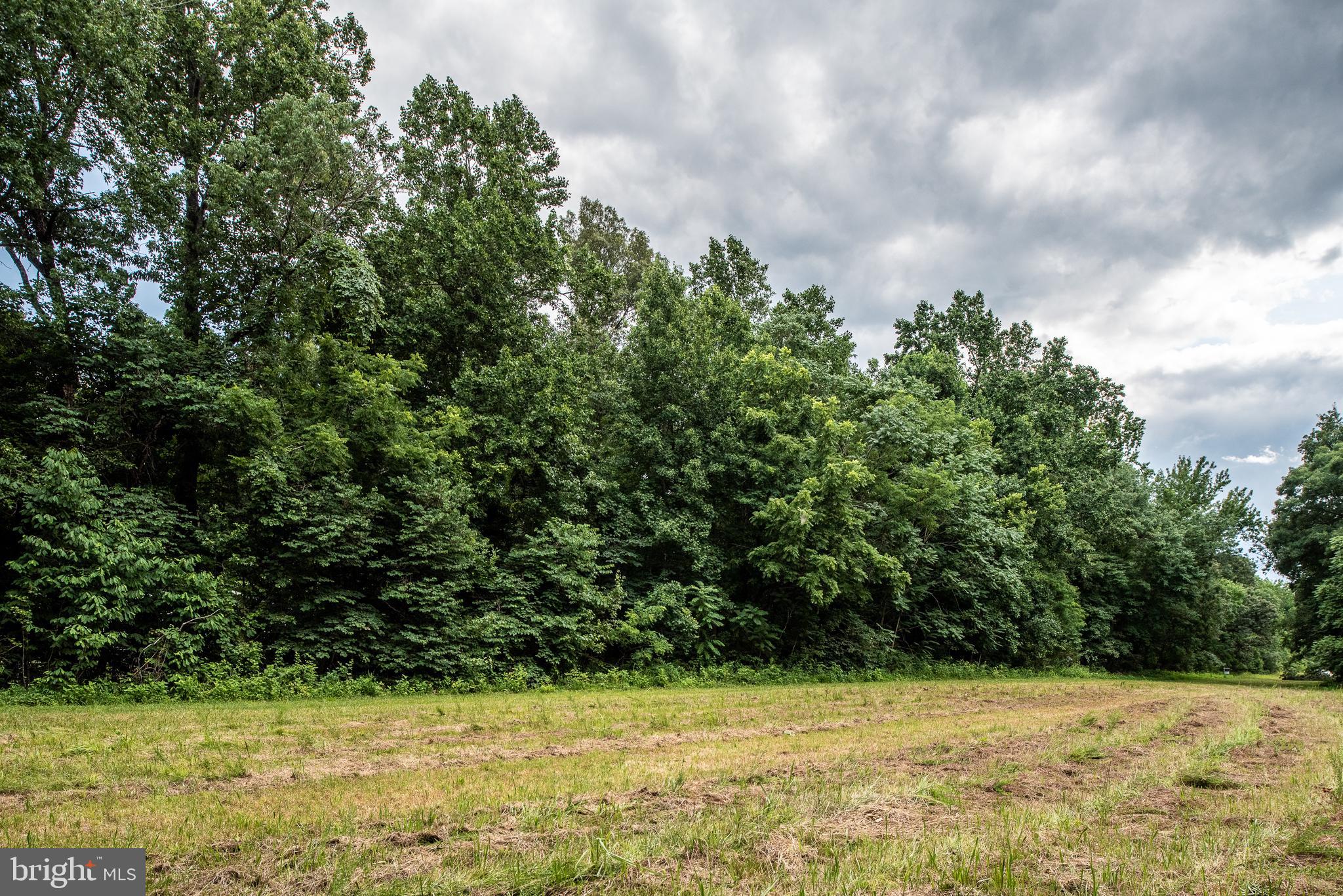 Hicks Landing Road Rappahannock Academy, VA 22538 - Photo 42 of 64