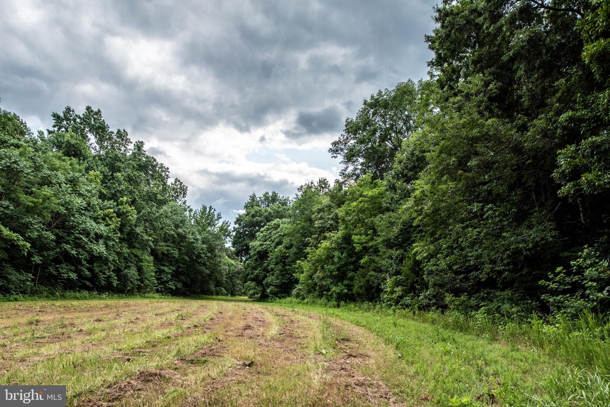 Hicks Landing Road Rappahannock Academy, VA 22538 - Photo 43 of 64