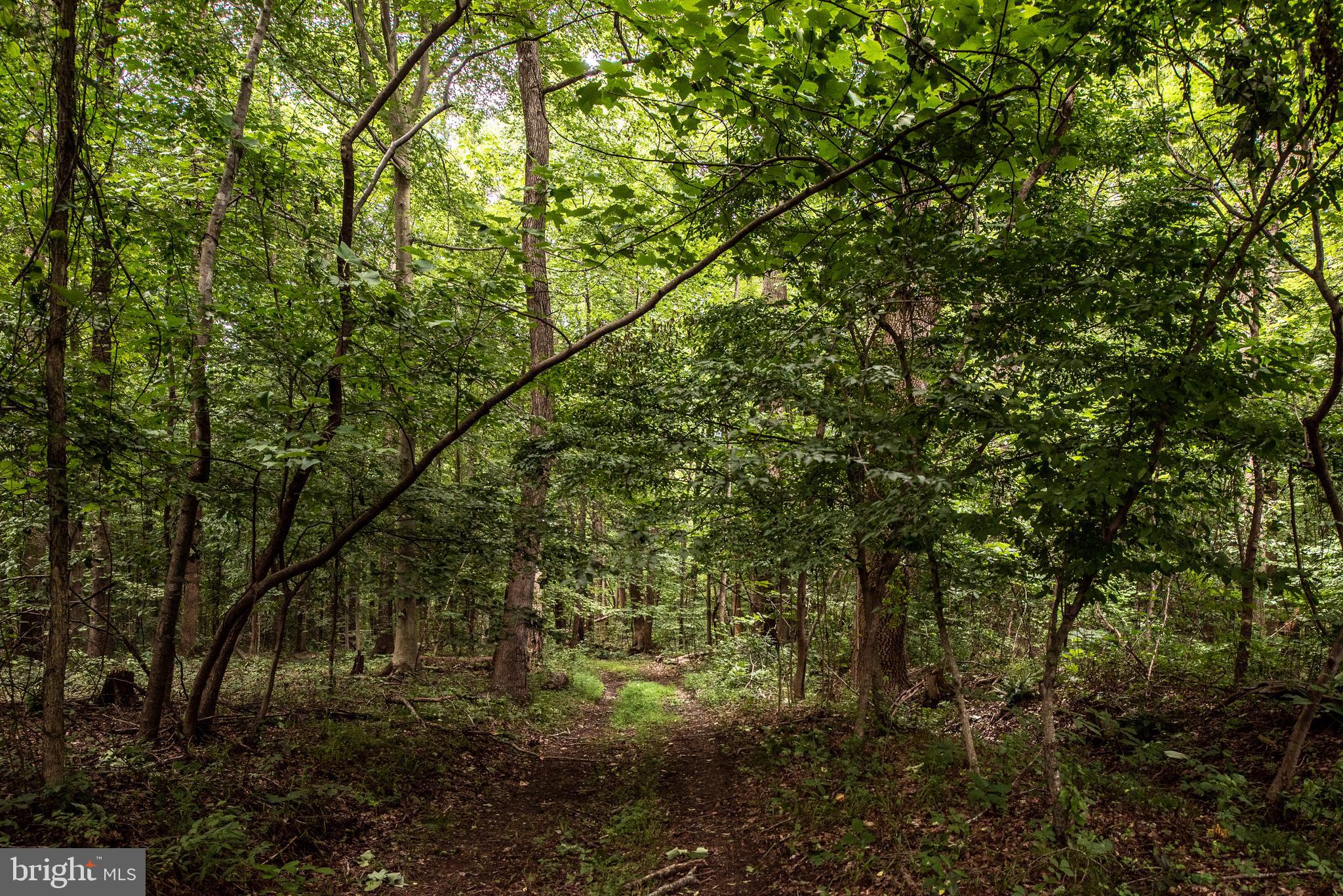 Hicks Landing Road Rappahannock Academy, VA 22538 - Photo 44 of 64