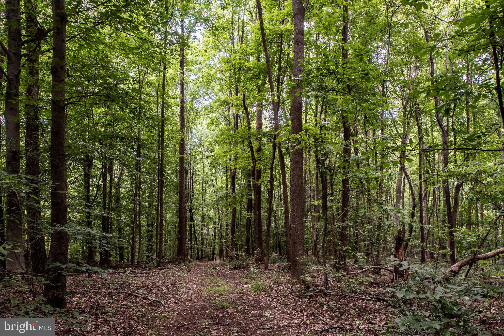 Hicks Landing Road Rappahannock Academy, VA 22538 - Photo 45 of 64