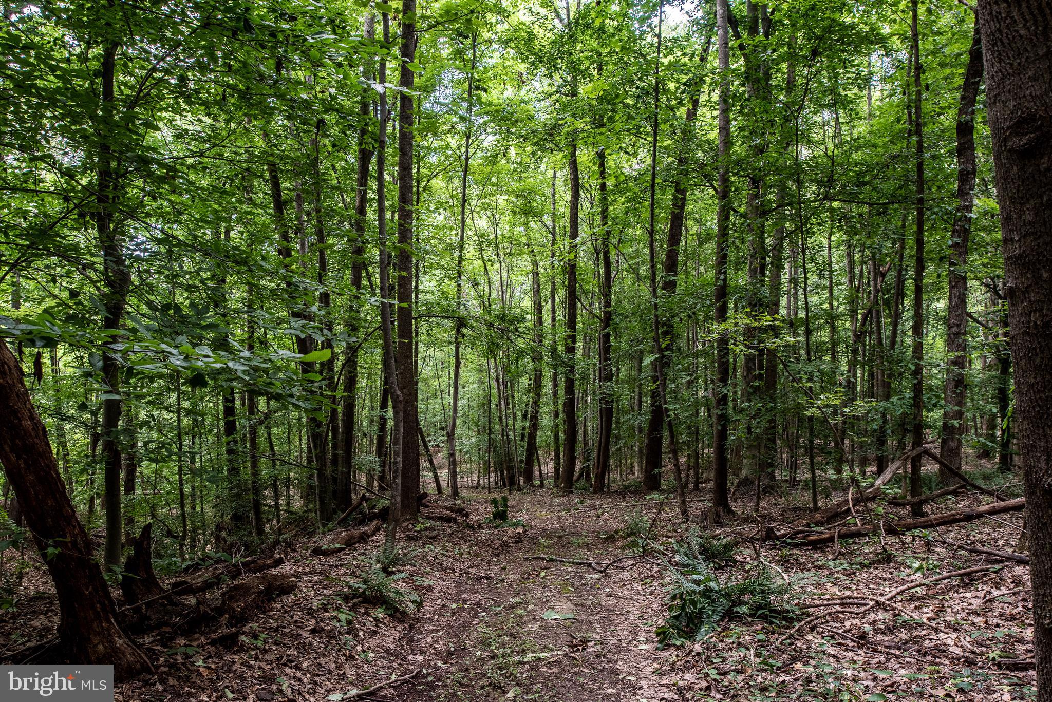 Hicks Landing Road Rappahannock Academy, VA 22538 - Photo 46 of 64