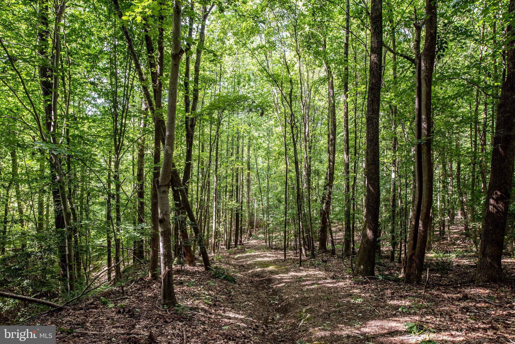 Hicks Landing Road Rappahannock Academy, VA 22538 - Photo 47 of 64