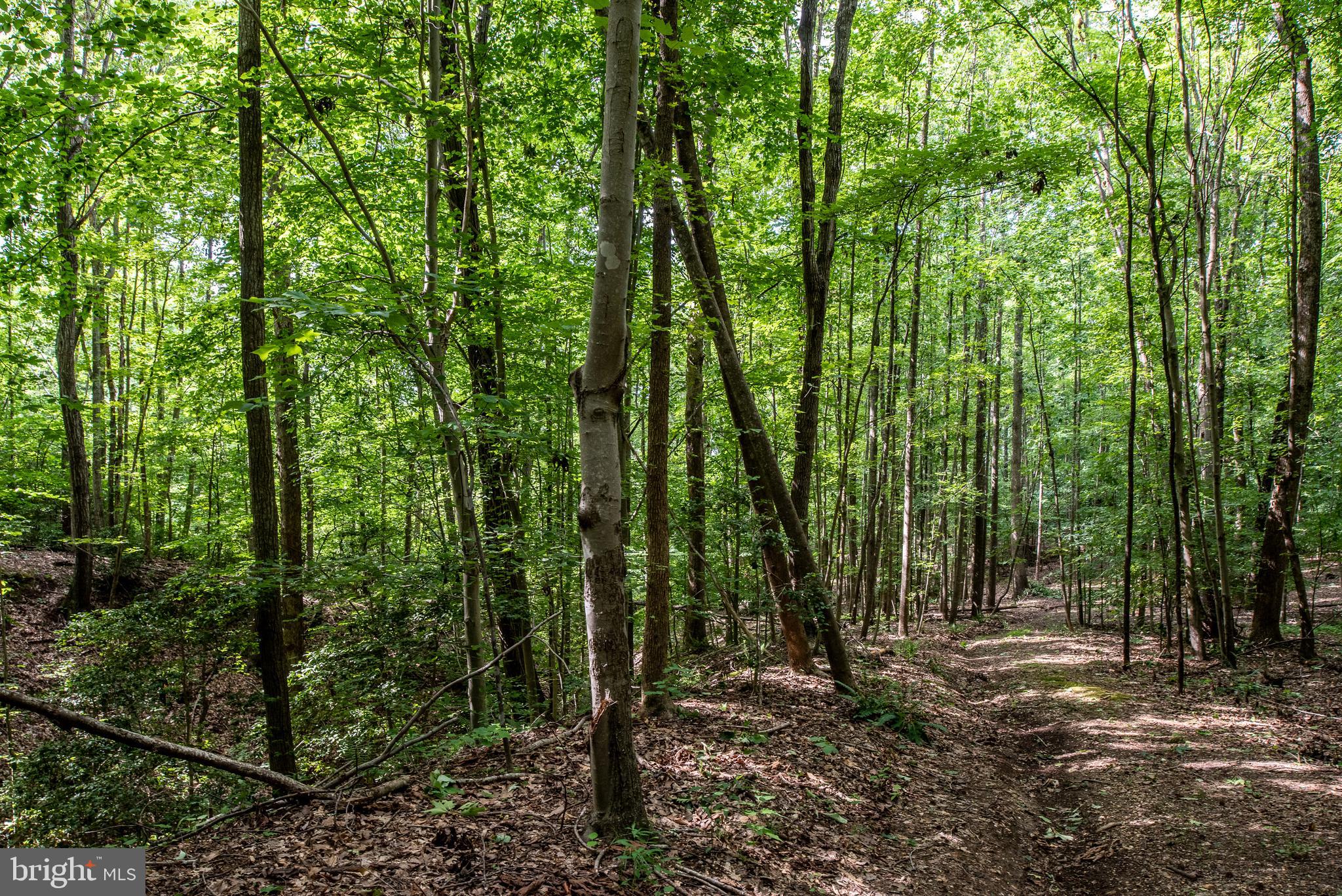Hicks Landing Road Rappahannock Academy, VA 22538 - Photo 48 of 64