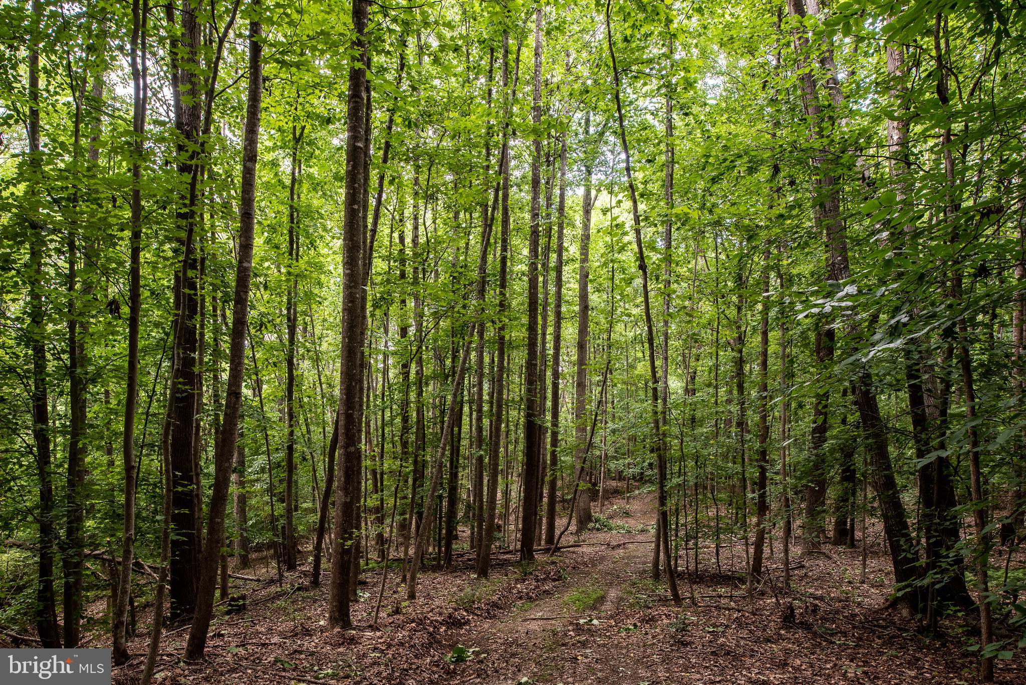 Hicks Landing Road Rappahannock Academy, VA 22538 - Photo 49 of 64