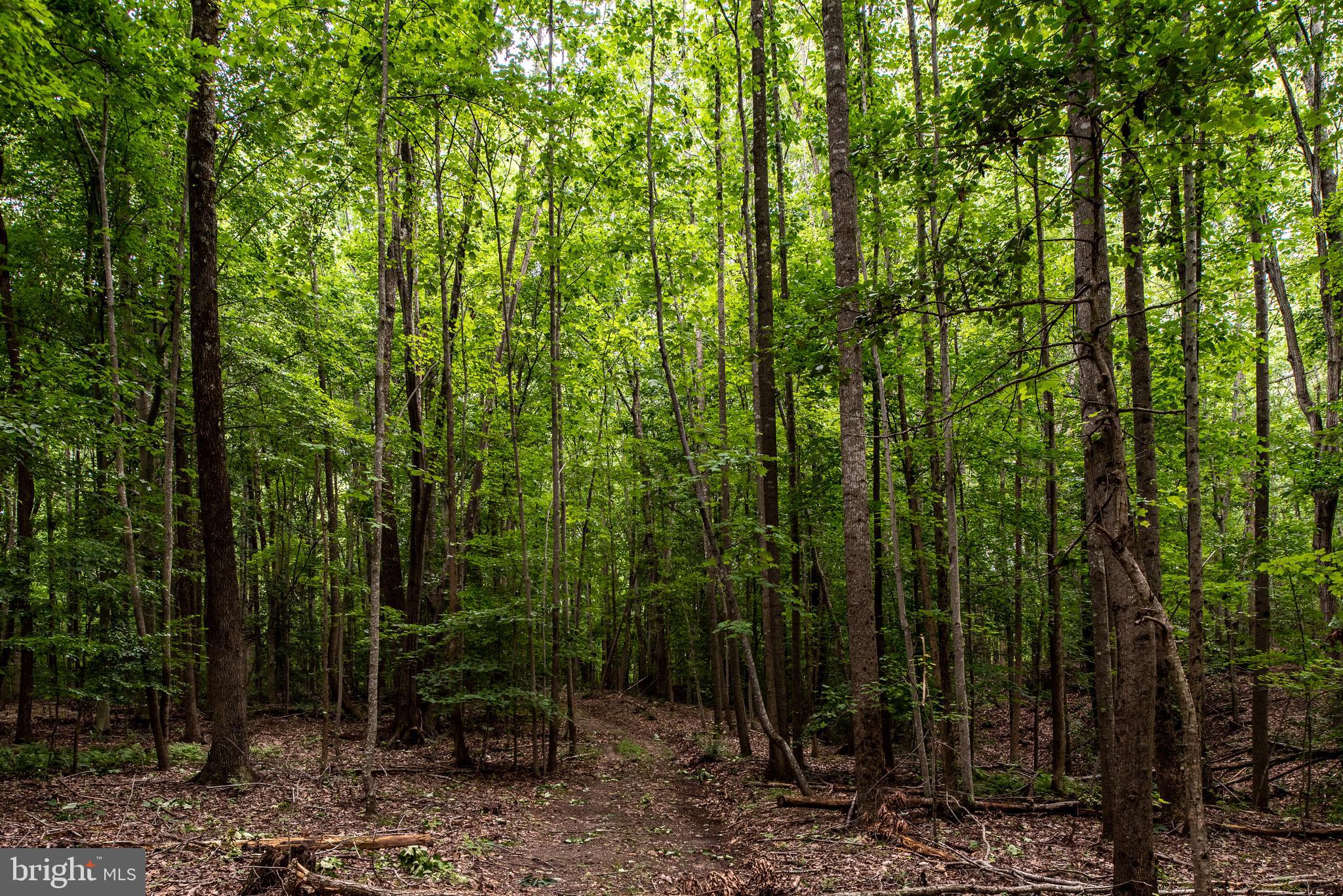 Hicks Landing Road Rappahannock Academy, VA 22538 - Photo 50 of 64