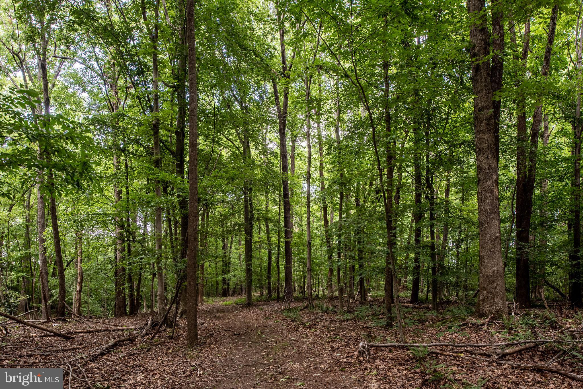 Hicks Landing Road Rappahannock Academy, VA 22538 - Photo 52 of 64