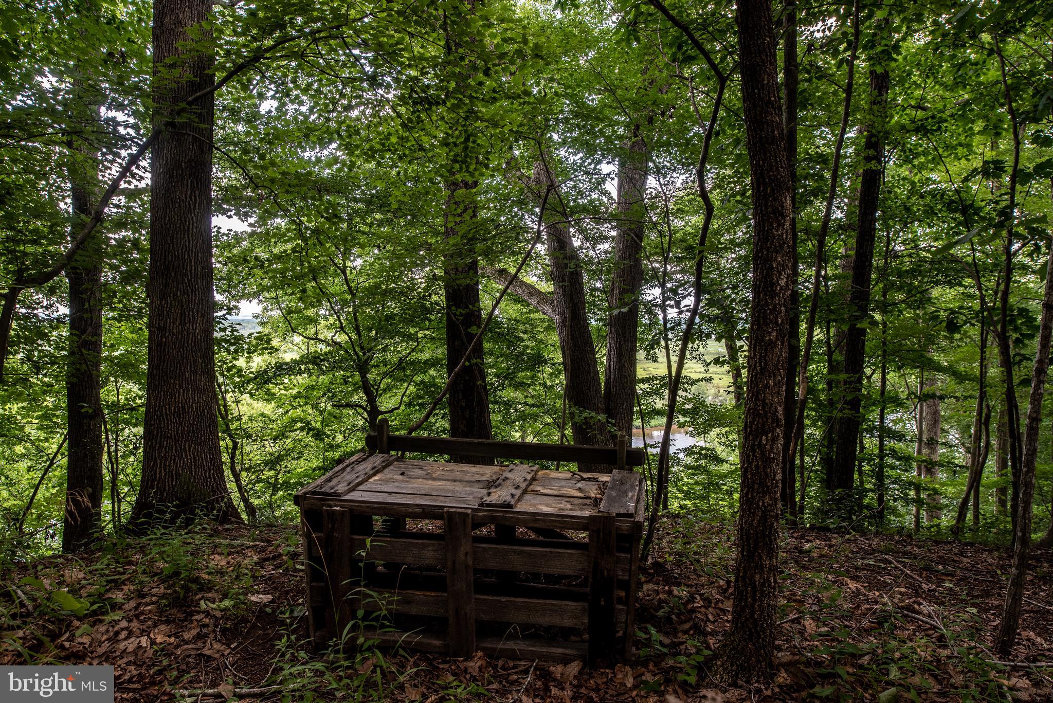 Hicks Landing Road Rappahannock Academy, VA 22538 - Photo 55 of 64