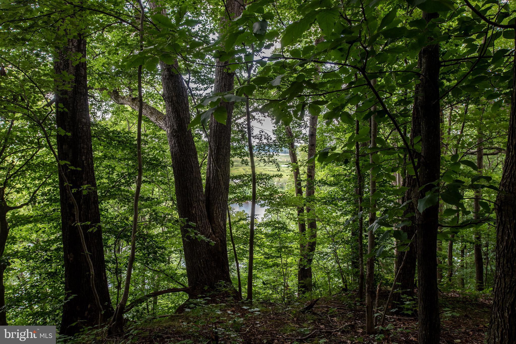 Hicks Landing Road Rappahannock Academy, VA 22538 - Photo 56 of 64