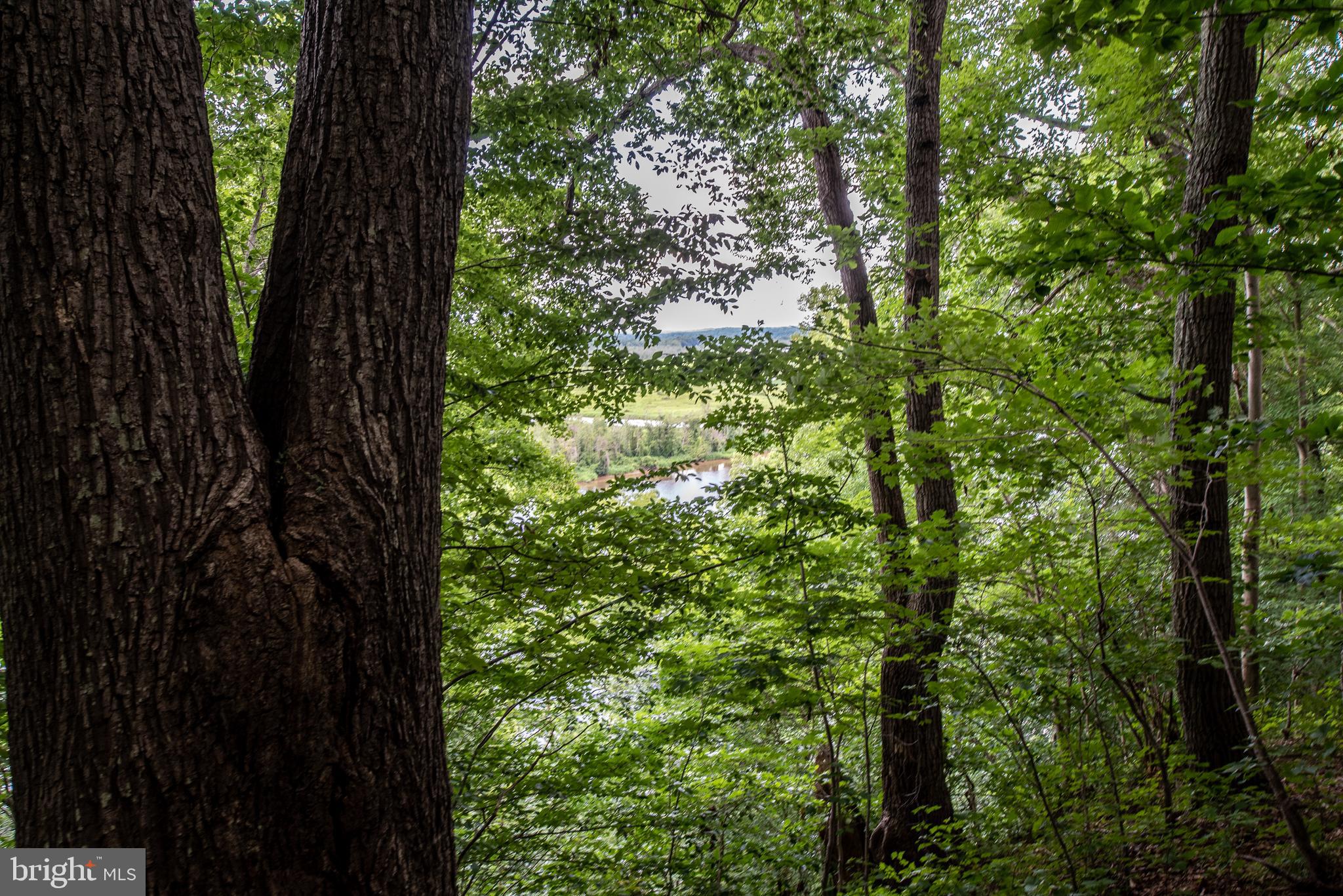 Hicks Landing Road Rappahannock Academy, VA 22538 - Photo 58 of 64