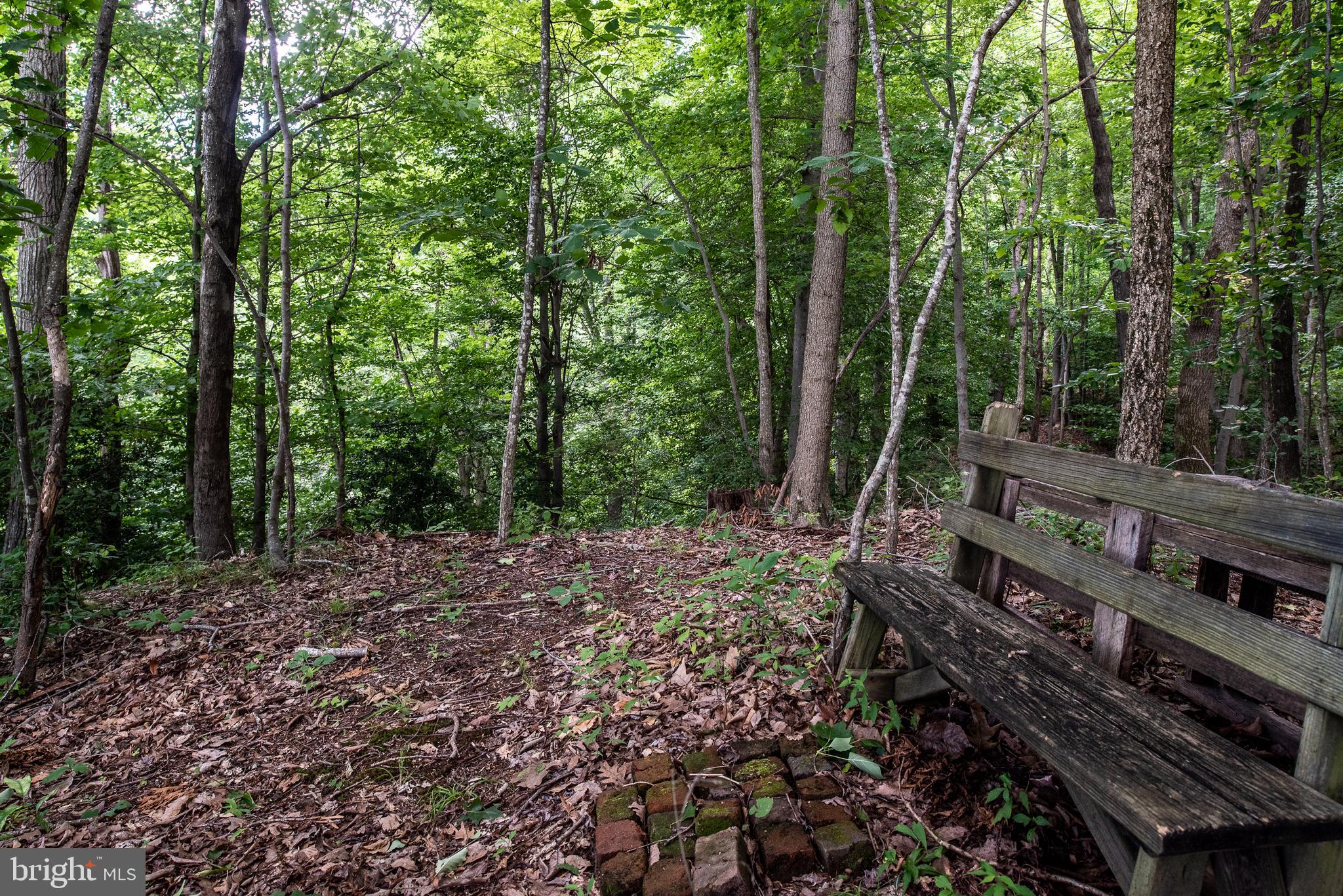 Hicks Landing Road Rappahannock Academy, VA 22538 - Photo 59 of 64