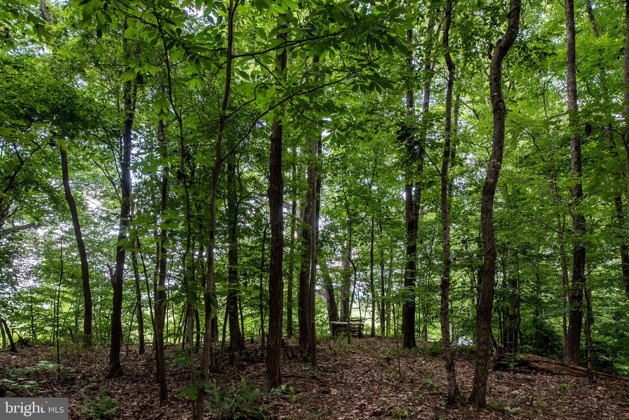 Hicks Landing Road Rappahannock Academy, VA 22538 - Photo 61 of 64