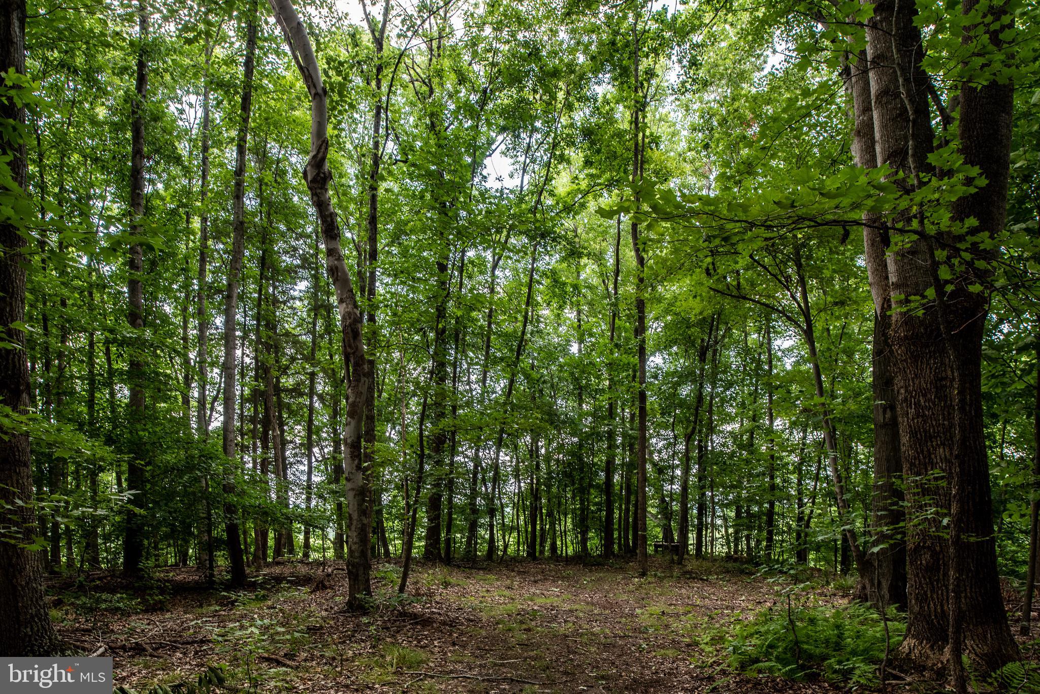 Hicks Landing Road Rappahannock Academy, VA 22538 - Photo 62 of 64