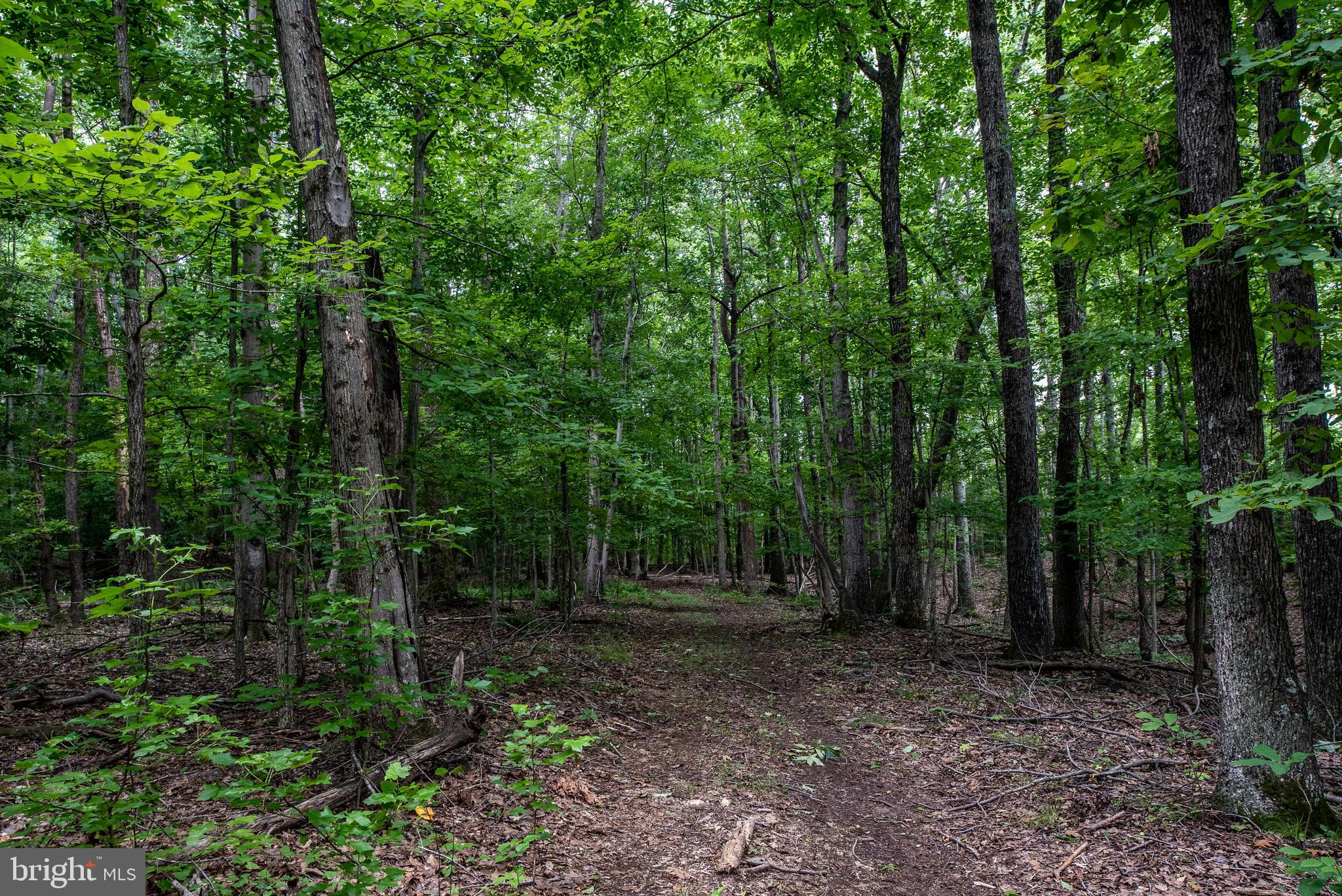 Hicks Landing Road Rappahannock Academy, VA 22538 - Photo 63 of 64