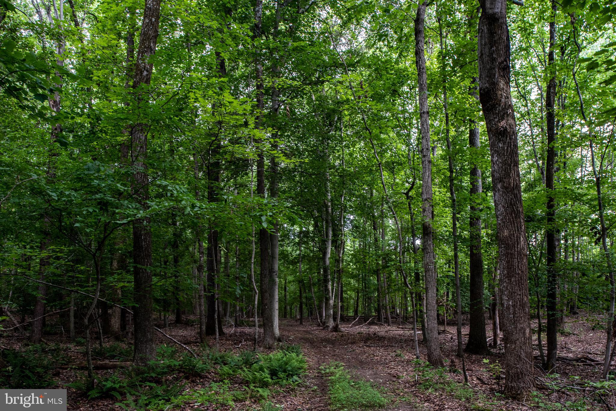 Hicks Landing Road Rappahannock Academy, VA 22538 - Photo 64 of 64