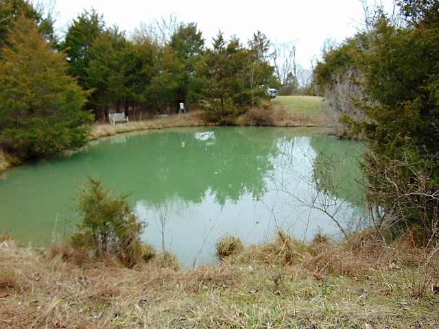 10655 Georgetown Road Owenton, KY 40359 - Photo 18 of 37 Gallery Image 18