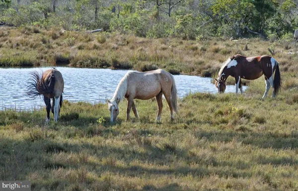 an aerial view of a house with a lake view