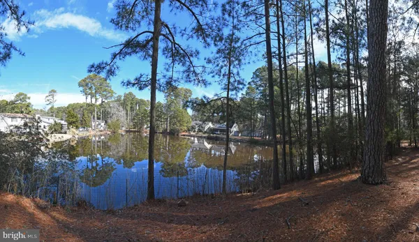 a view of a lake in between the two trees