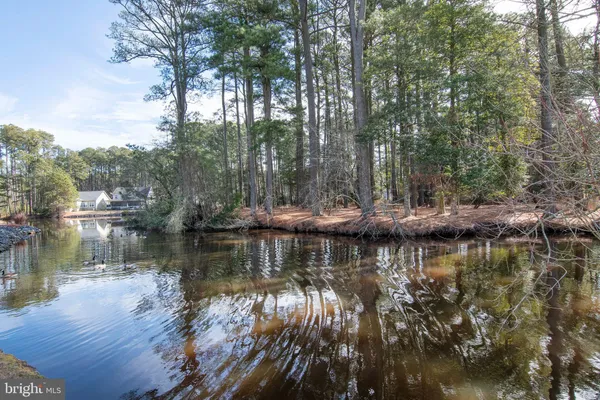a view of a lake with trees