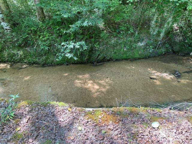 750 Prett Roland Road Adamsville, TN 38310 - Photo 15 of 19 Gallery Image 15