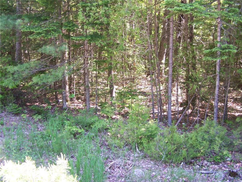 0 Rt 1 Gouldsboro Point Road Gouldsboro, ME 04607 - Photo 13 of 15 Photo