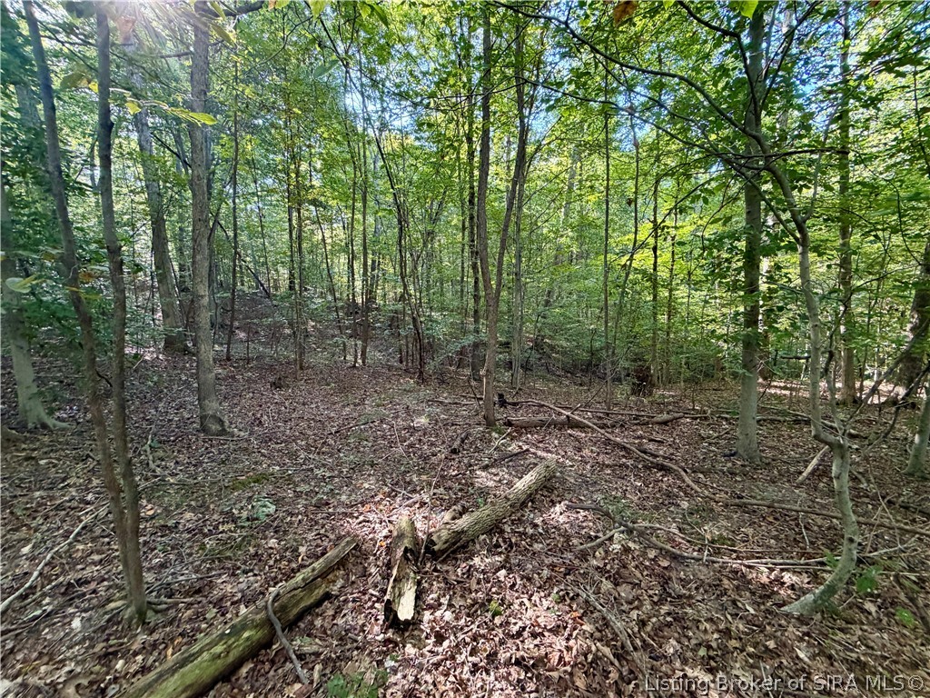 South Big Springs Road Pekin, IN 47165 - Photo 21 of 24 Gallery Image 21