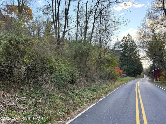 a view of a street with a large trees