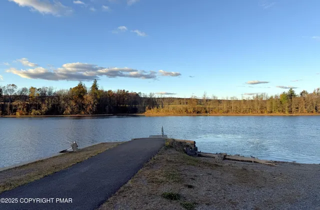 a view of a lake in middle of forest