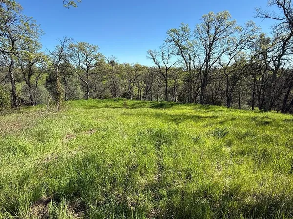 $12,000 | 16438 Longhorn Lane, Corning, CA 96021