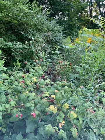 $510,000 | 18 Belgrade Road, Oakland, ME 04963