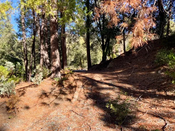$145,000 | 50963 Chu Ranch Road, Oakhurst, CA 93644