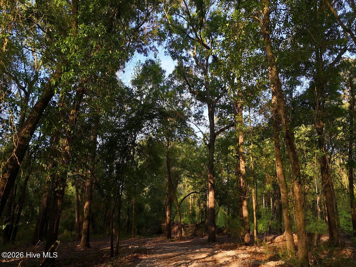 0 Durwood Evans Road Beulaville, NC 28518 - Photo 50 of 68 50. Riverfront Access Paths