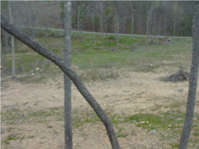 2096 Colbert Hollow Road Rock Spring, GA 30739 - Photo 7 of 9 Additional Photo