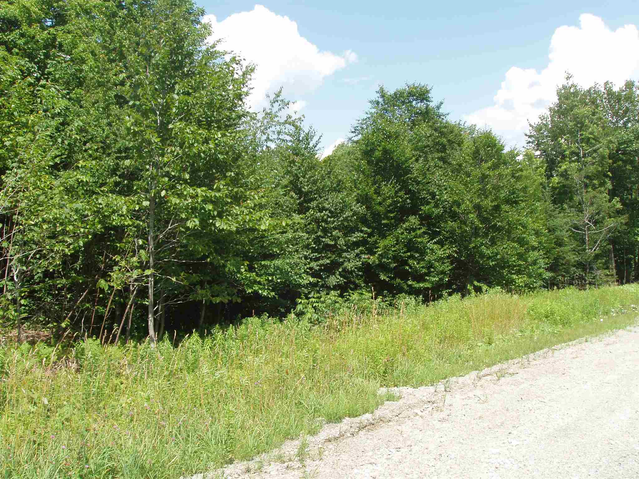 43 Moose Hollow Road, Unit 43 Winhall, VT 05340 - Photo 2 of 4
