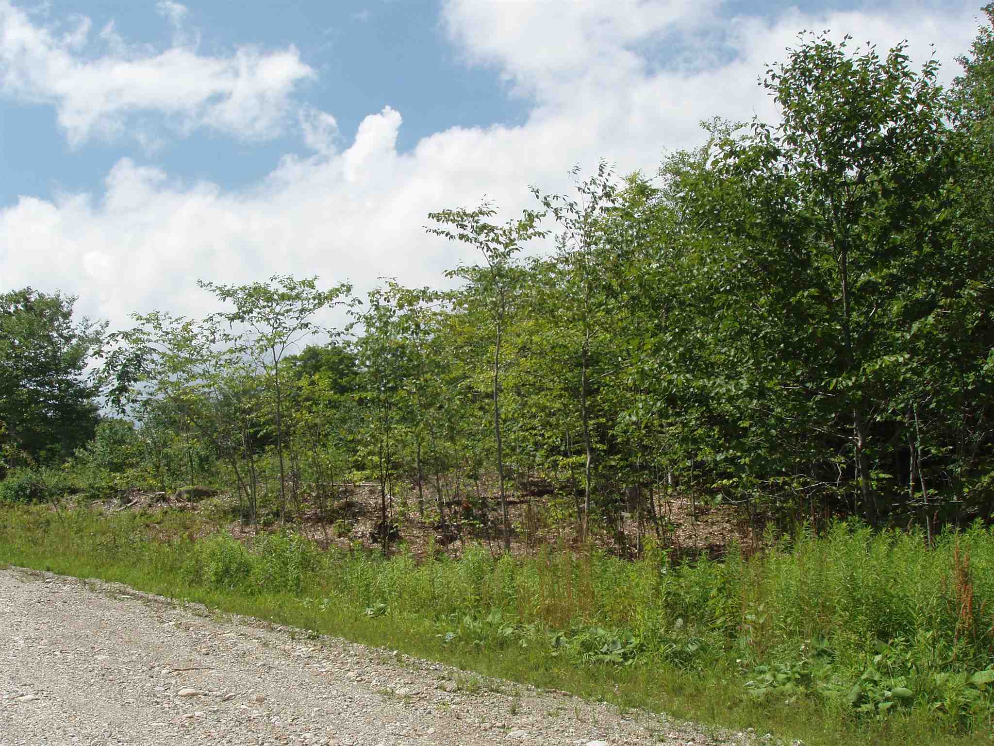 43 Moose Hollow Road, Unit 43 Winhall, VT 05340 - Photo 3 of 4
