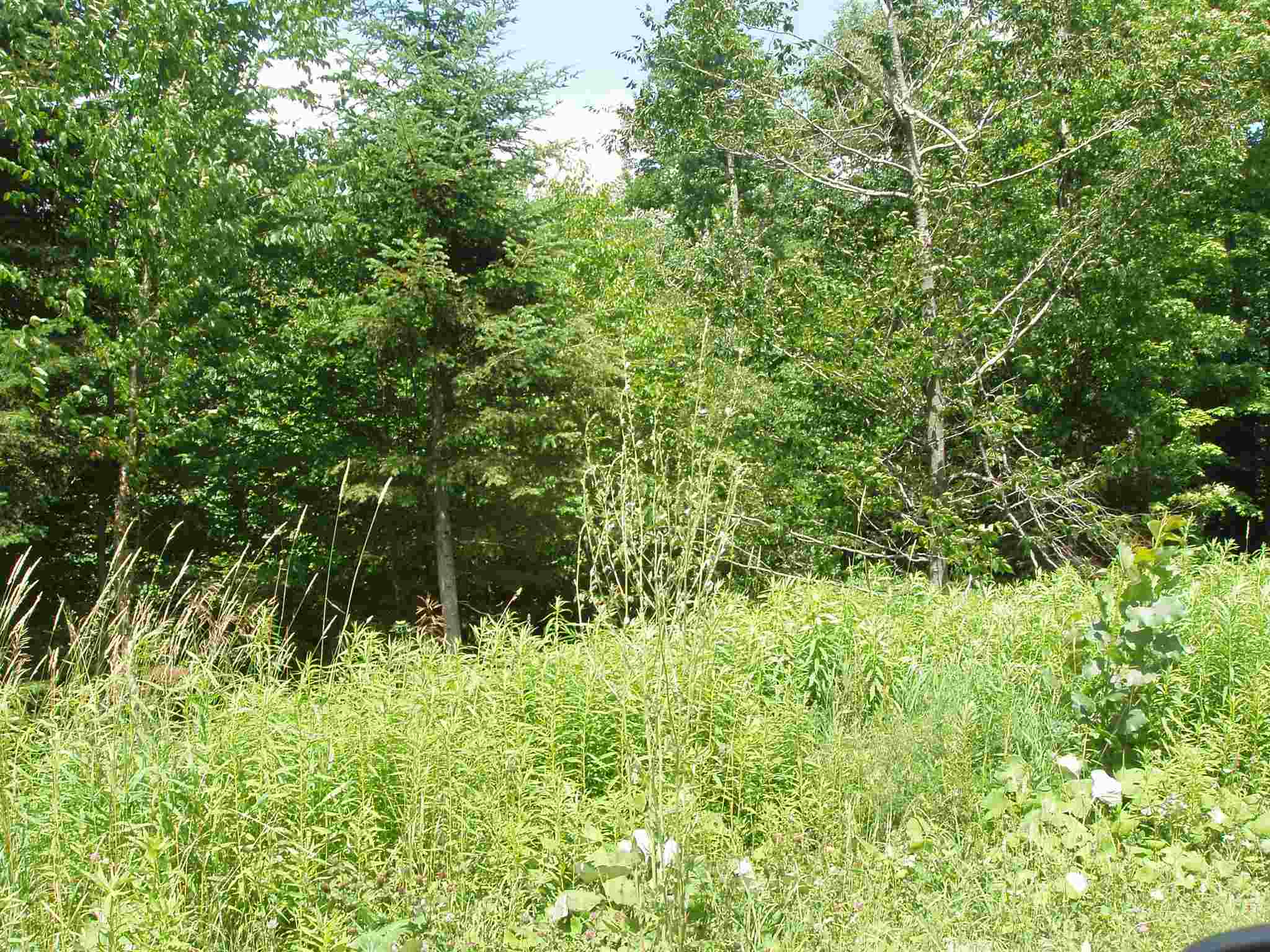 43 Moose Hollow Road, Unit 43 Winhall, VT 05340 - Photo 4 of 4