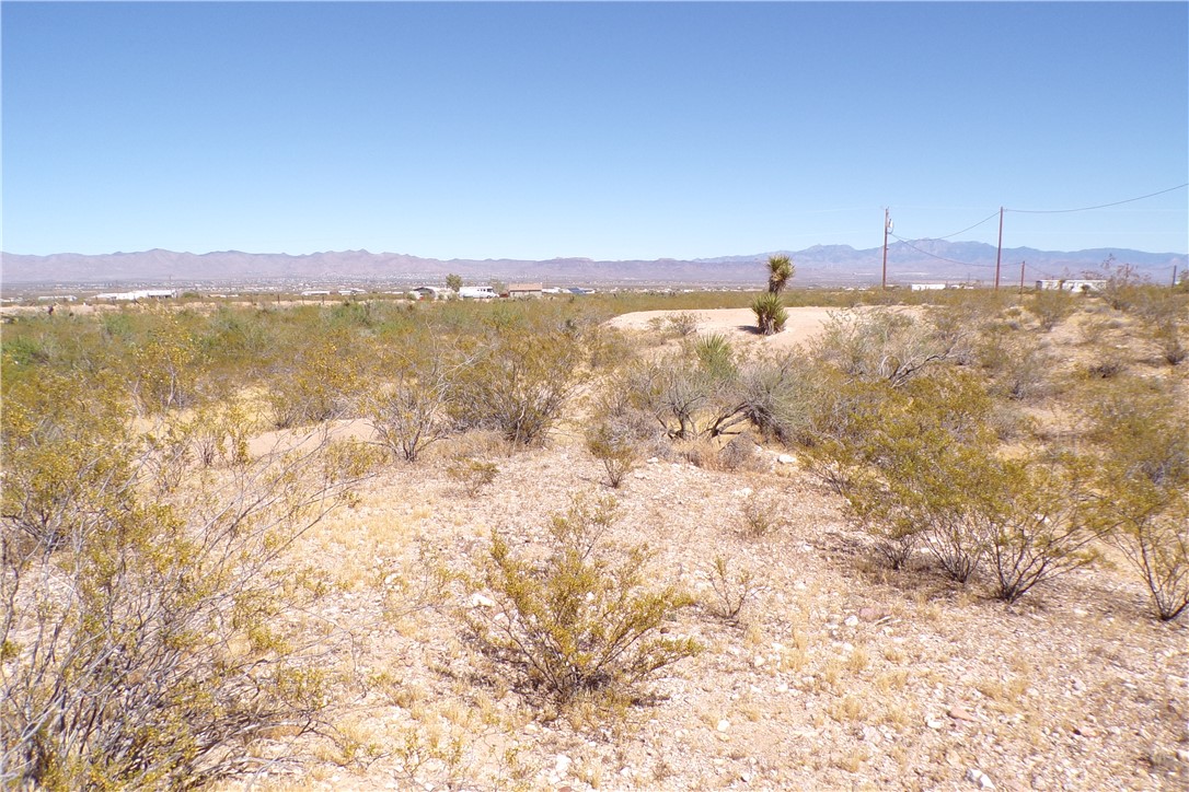 1386 Don Luis Road Golden Valley, AZ 86413 - Photo 9 of 47 Expansive desert landscape with scattered vegetation and a distant mountain range under a clear sky