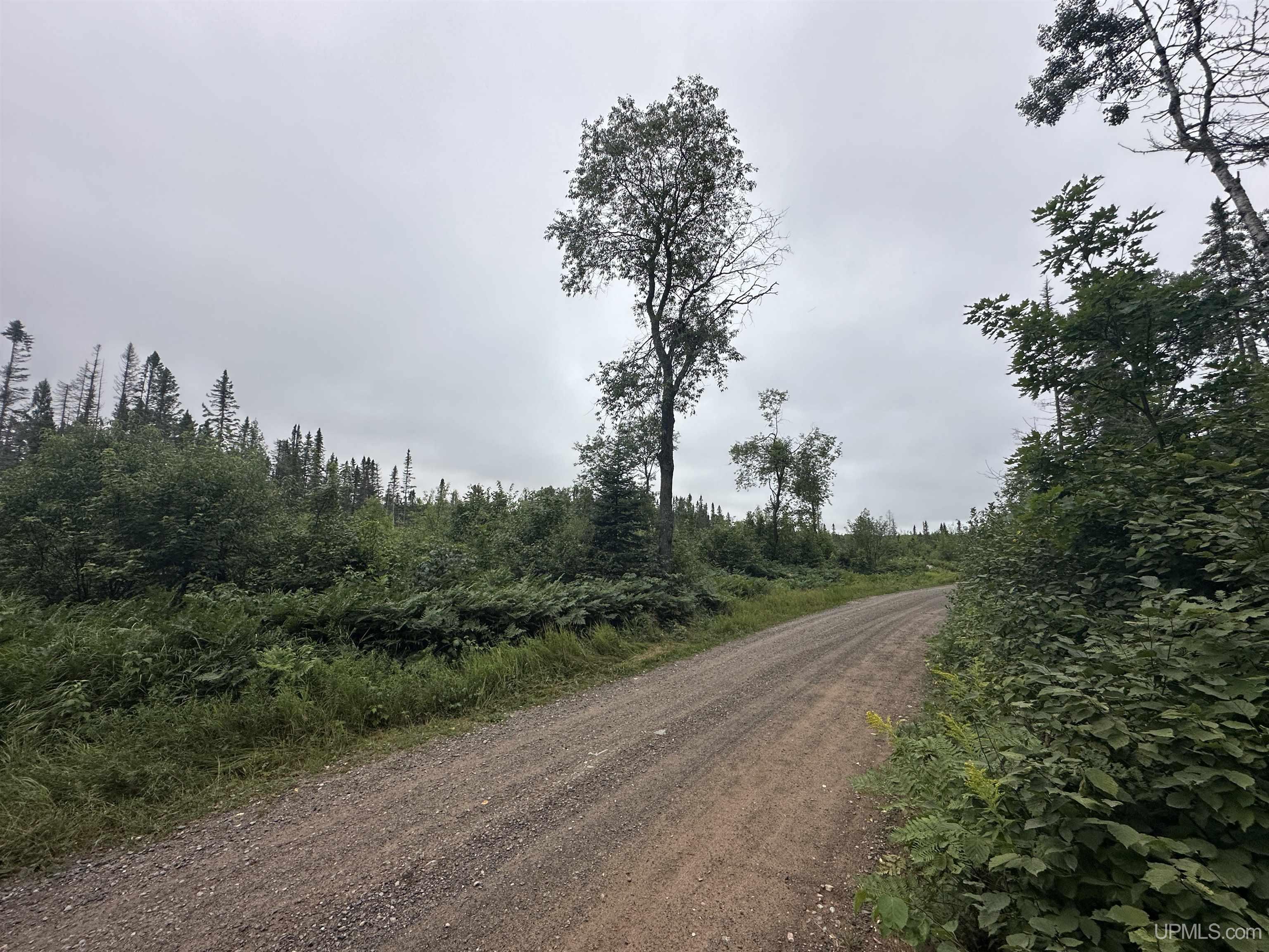 Off Off Boniface Road Michigamme, MI 49861 - Photo 19 of 19 Gallery Image 19