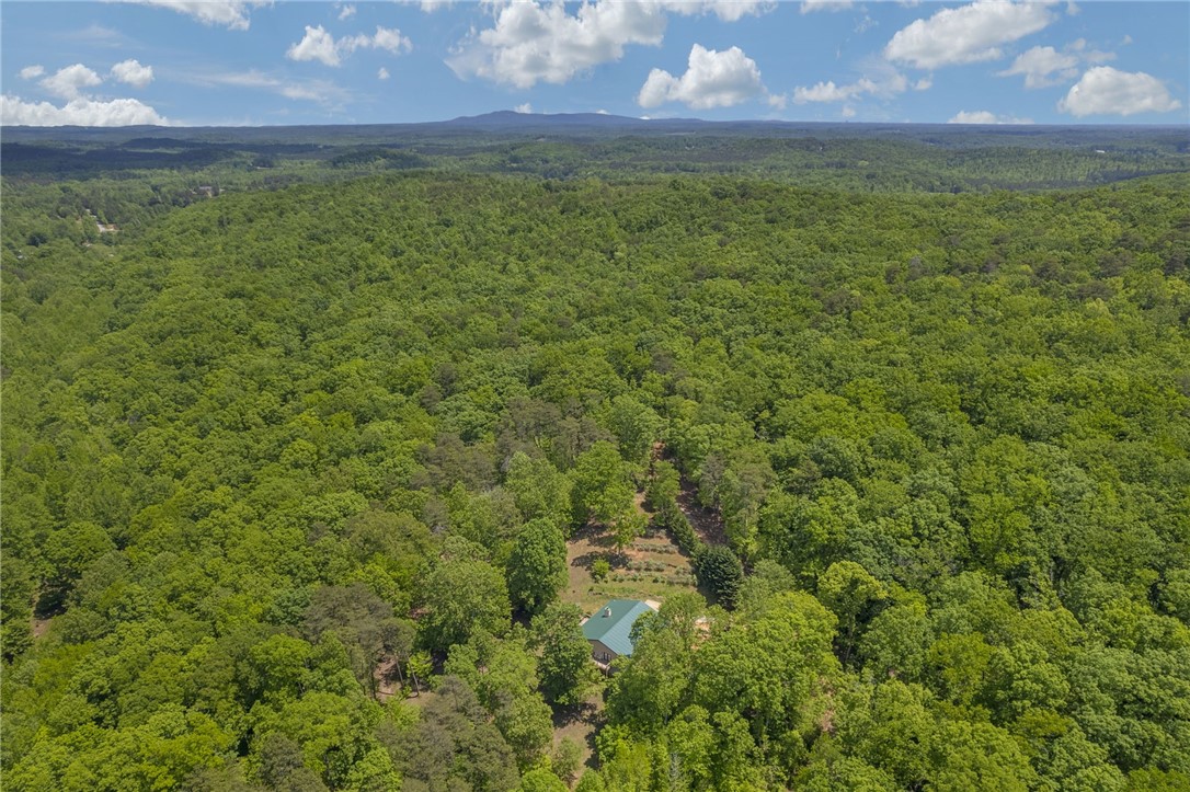 379 Connelly Road Pickens, SC 29671 - Photo 35 of 50