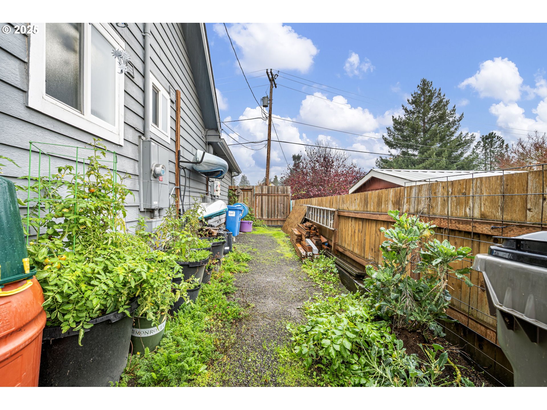 355 River Loop 2 Eugene, OR 97404 - Photo 47 of 47 Yard