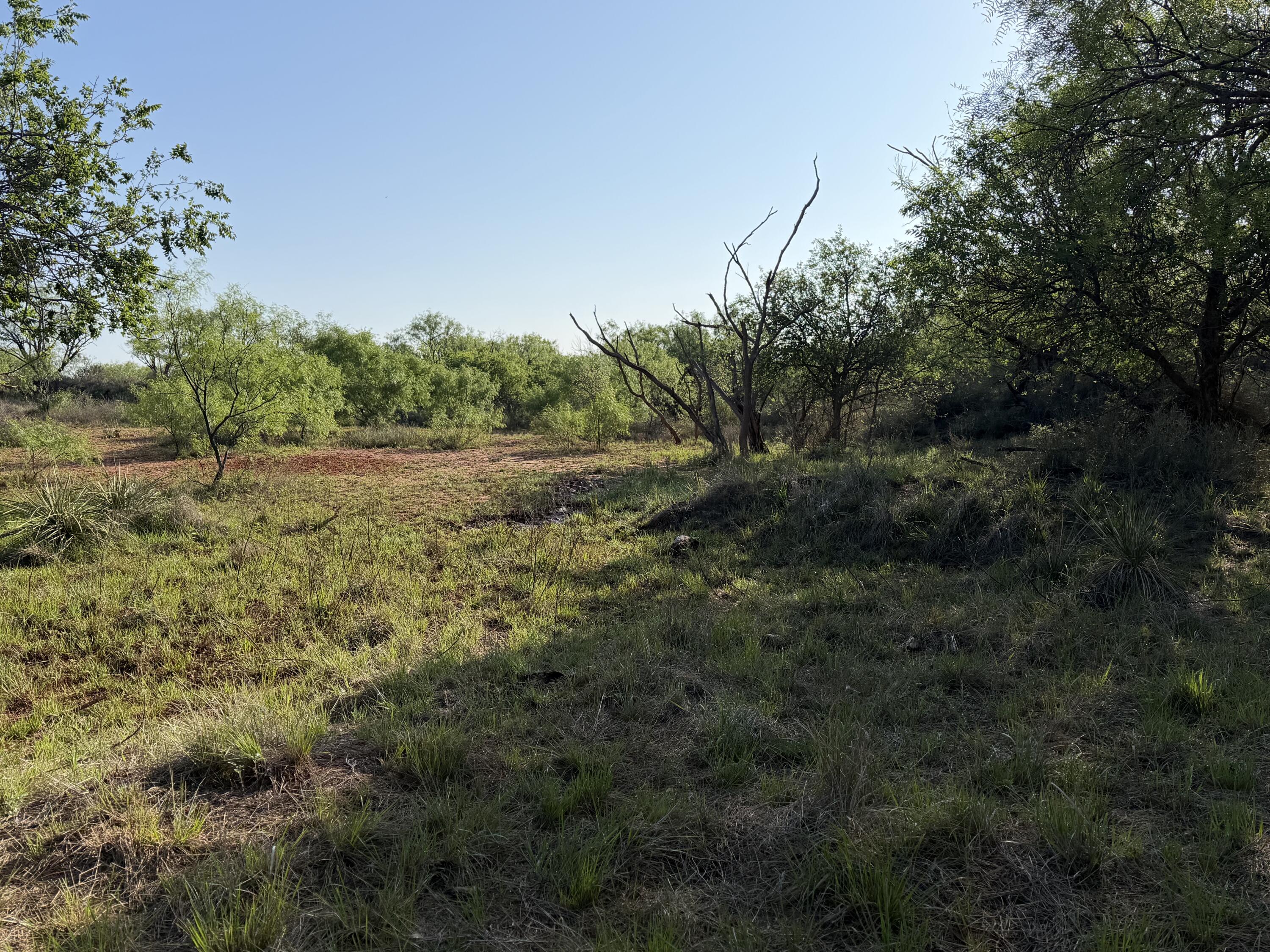 92 Texas Hamlin, TX 79520 - Photo 46 of 63 IMG_1833