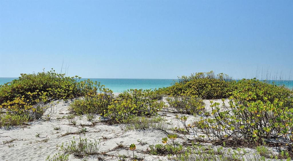 448 Redwood Road Venice, FL 34293 - Photo 44 of 45