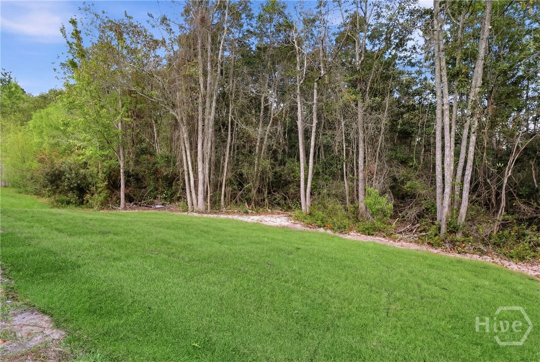 241 Freedom Trail Guyton, GA 31312 - Photo 15 of 16 **Grass Virtually enhanced**