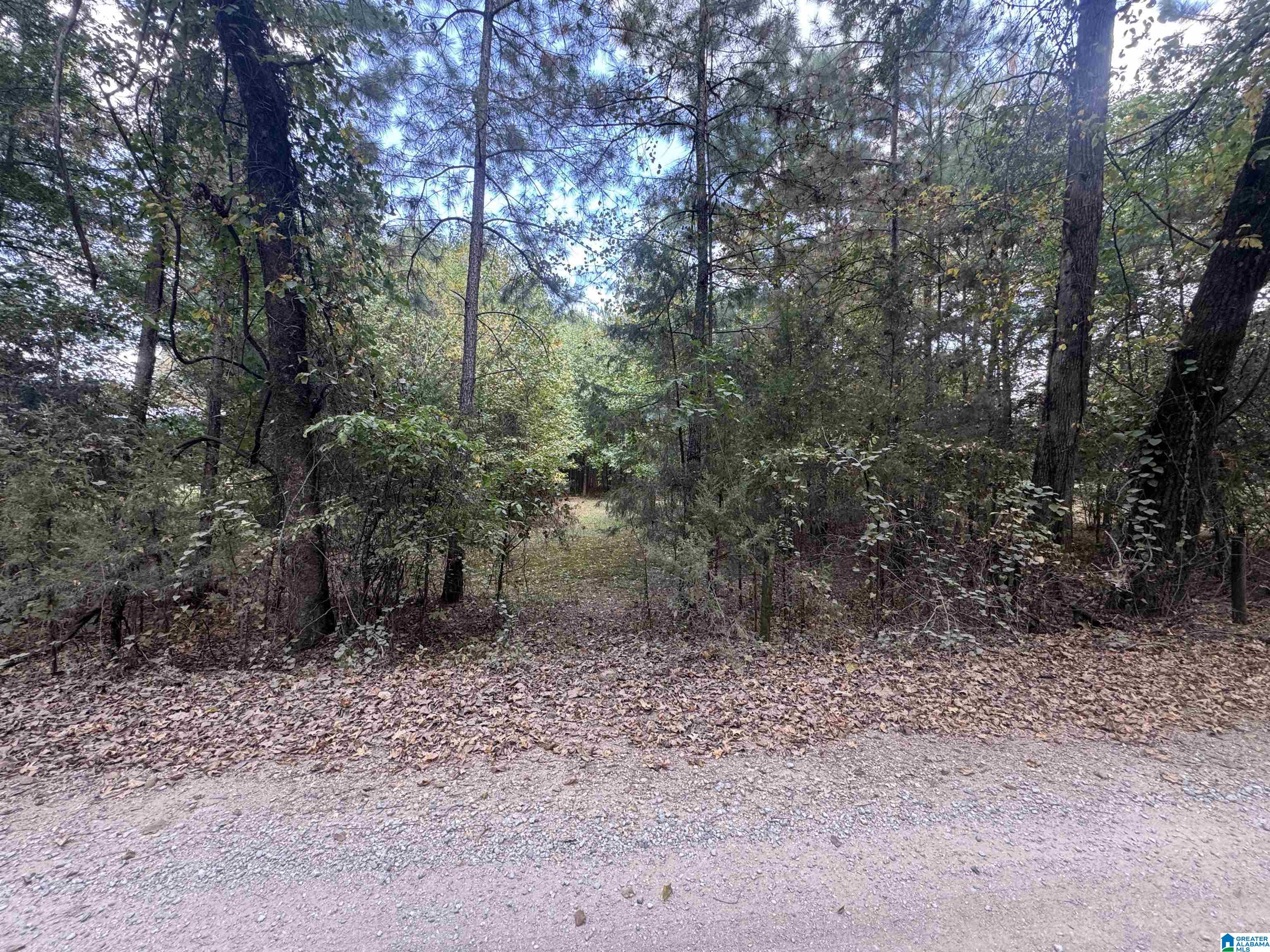 0 Alex Mill Road, Unit 1 Montevallo, AL 35115 - Photo 1 of 3