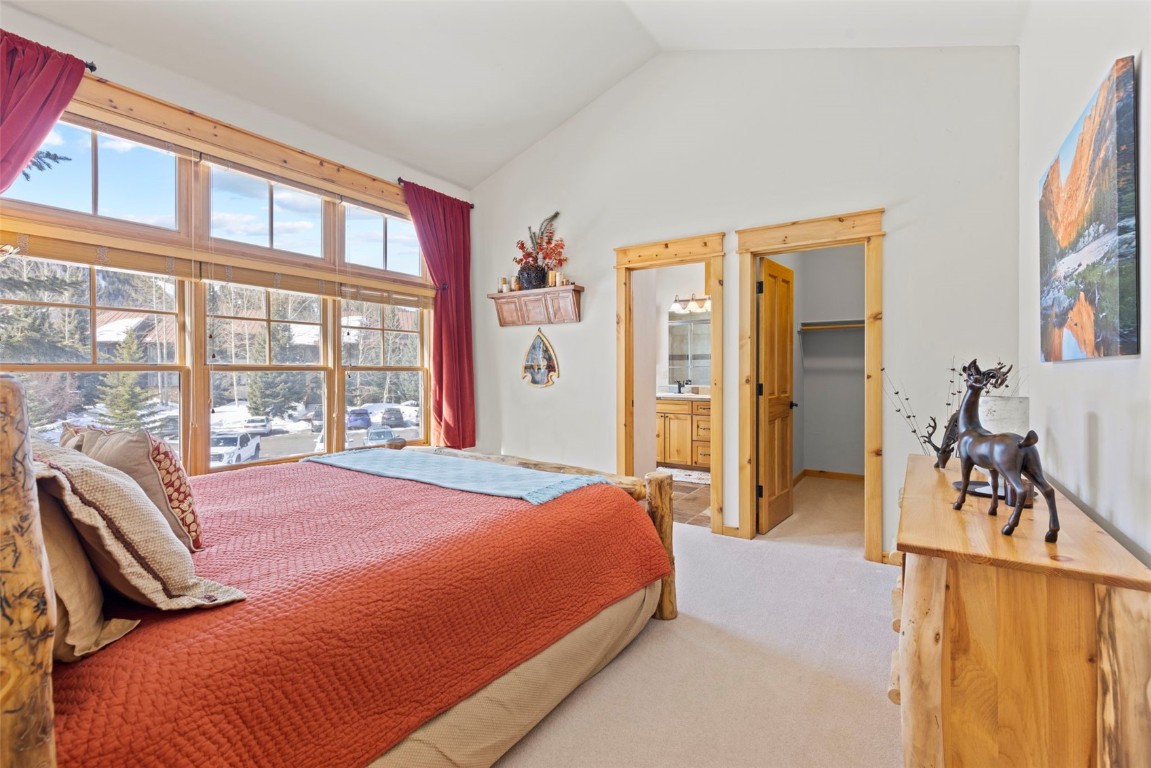 22 Snake River Road, Unit 13 Keystone, CO 80435 - Photo 23 of 47 Gallery Image 23